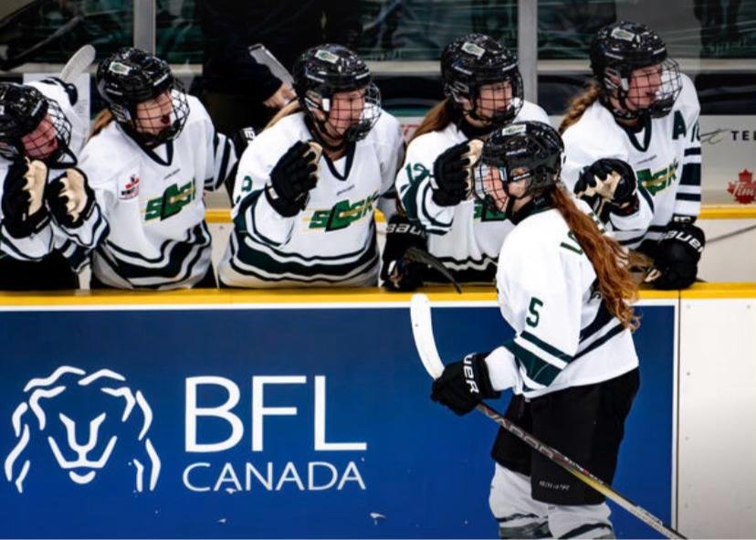 Mindset Training: Cultivating Resilience and GrowthThe ice ring fair play